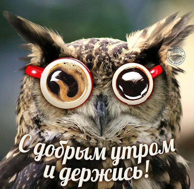 Нажмите на изображение для увеличения
Название: 436zV1nPyXk.jpg
Просмотров: 37
Размер:	49.5 Кб
ID:	18248