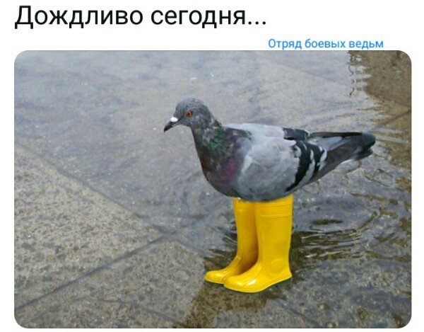 Нажмите на изображение для увеличения
Название: CS2bLXeLT9Y.jpg
Просмотров: 60
Размер:	37.6 Кб
ID:	18481