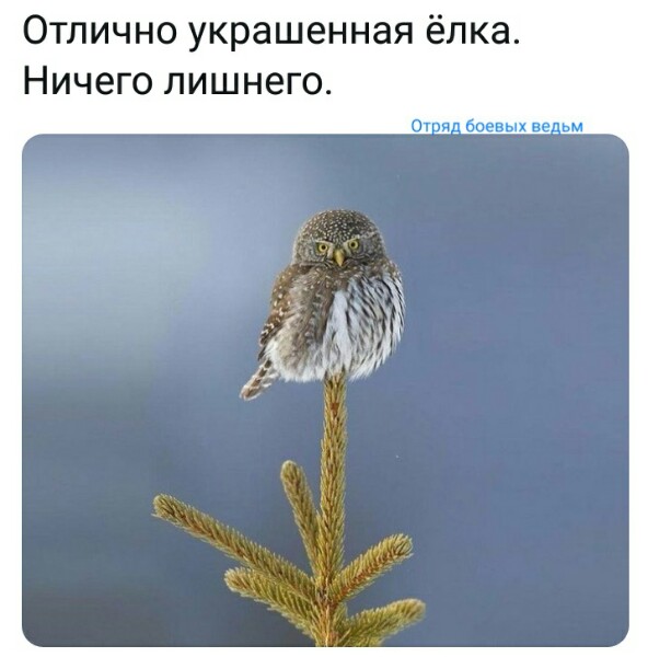 Нажмите на изображение для увеличения
Название: LhYVxGM0plk.jpg
Просмотров: 46
Размер:	20.8 Кб
ID:	18666