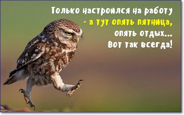 Название: 94-1.jpg
Просмотров: 95

Размер: 39.8 Кб