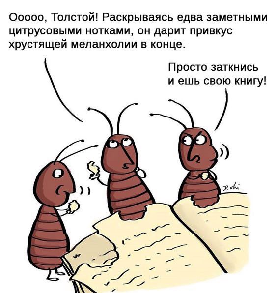 Нажмите на изображение для увеличения
Название: Al8RJSVL9_o.jpg
Просмотров: 25
Размер:	34.7 Кб
ID:	18915