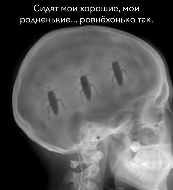 Нажмите на изображение для увеличения
Название: JofM91FKZtY.jpg
Просмотров: 41
Размер:	19.4 Кб
ID:	19207