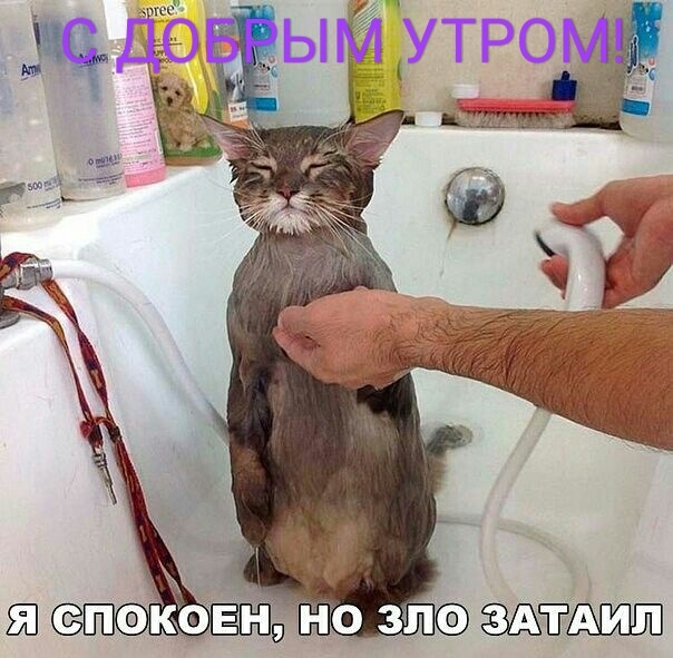 Нажмите на изображение для увеличения
Название: 1vtAgDjpMD4.jpg
Просмотров: 26
Размер:	40.4 Кб
ID:	19276