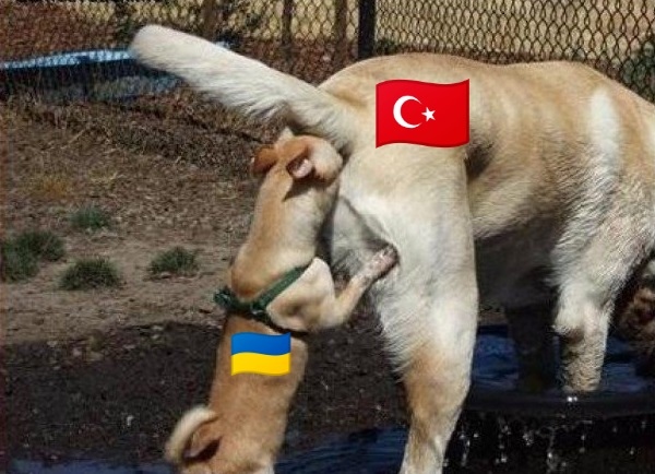 Нажмите на изображение для увеличения
Название: RNotQuZ4oKM.jpg
Просмотров: 25
Размер:	44.1 Кб
ID:	19447