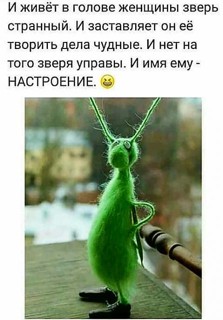 Нажмите на изображение для увеличения
Название: 87464235_534971713807437_3714342087571800064_n.jpg
Просмотров: 34
Размер:	28.0 Кб
ID:	19505