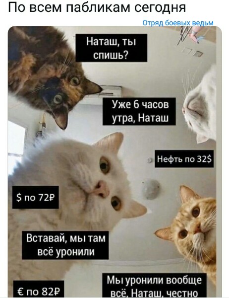Нажмите на изображение для увеличения
Название: 6dBNW5JU5XU.jpg
Просмотров: 36
Размер:	29.7 Кб
ID:	19530