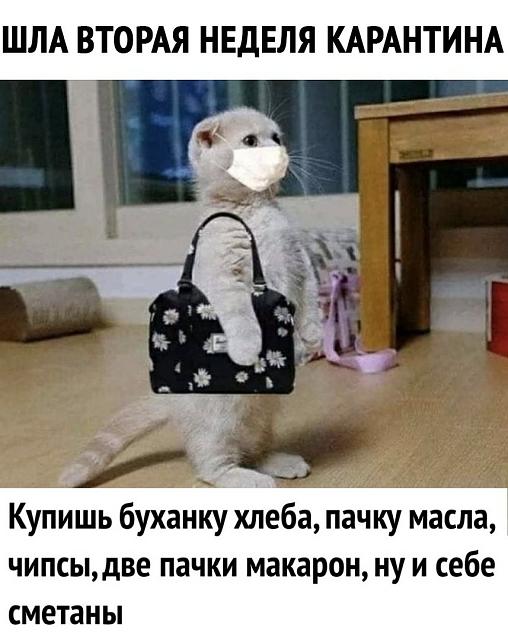 Нажмите на изображение для увеличения
Название: 9NAkJbQWK9s.jpg
Просмотров: 23
Размер:	30.5 Кб
ID:	19803