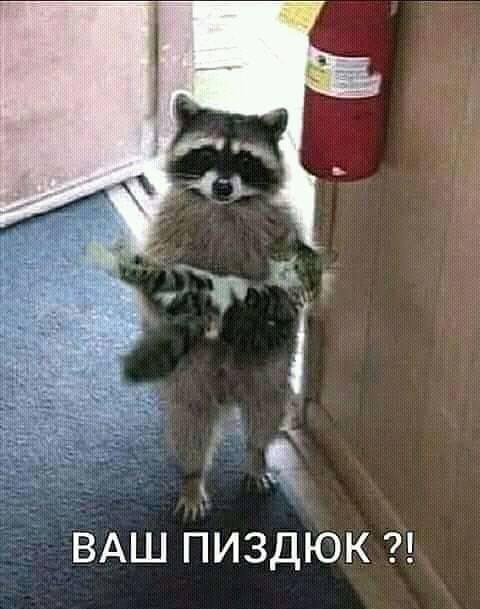 Нажмите на изображение для увеличения
Название: 90261219_2768908083194216_7845232652087984128_n.jpg
Просмотров: 31
Размер:	29.3 Кб
ID:	19836