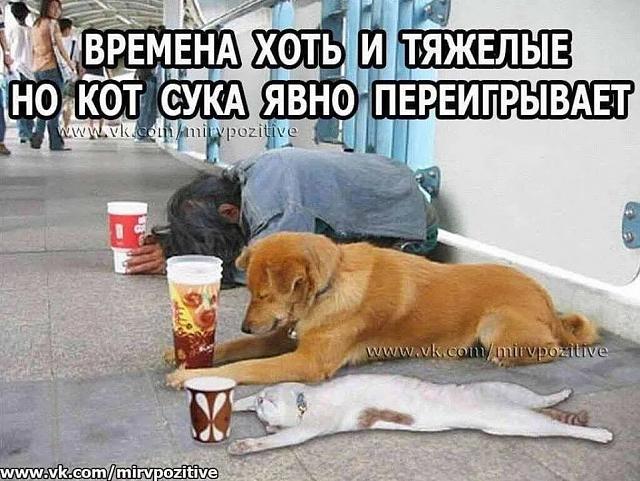 Нажмите на изображение для увеличения
Название: 90349054_578911089637833_4765244765845323776_n.jpg
Просмотров: 33
Размер:	50.3 Кб
ID:	19837