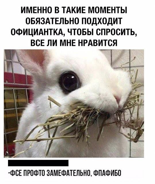 Нажмите на изображение для увеличения
Название: rrYHQWd-m0o.jpg
Просмотров: 30
Размер:	34.3 Кб
ID:	19880
