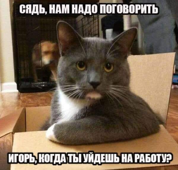 Нажмите на изображение для увеличения
Название: 91664961_1913882985412231_6432665320577564672_n.jpg
Просмотров: 30
Размер:	36.8 Кб
ID:	19915