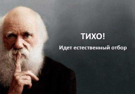 Название: IMG-20200330-WA0001.jpg
Просмотров: 105

Размер: 12.6 Кб