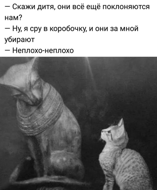 Нажмите на изображение для увеличения
Название: OAklygSAuZY.jpg
Просмотров: 36
Размер:	22.7 Кб
ID:	20134
