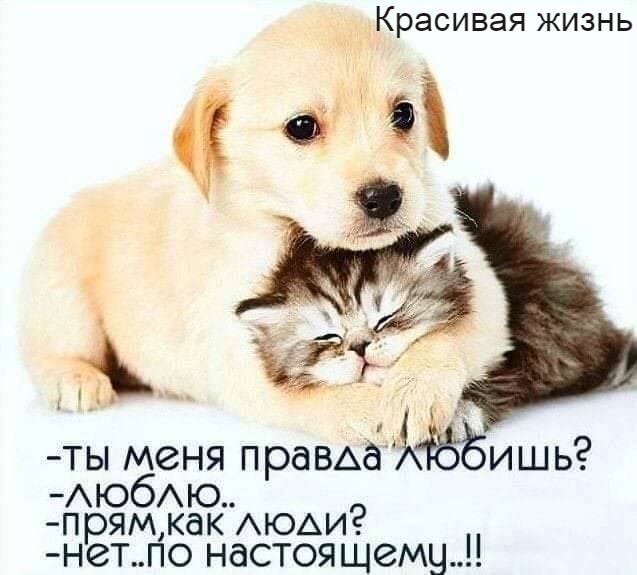 Нажмите на изображение для увеличения
Название: 92727774_153036369571915_4661902574188756992_n.jpg
Просмотров: 96
Размер:	36.6 Кб
ID:	20139