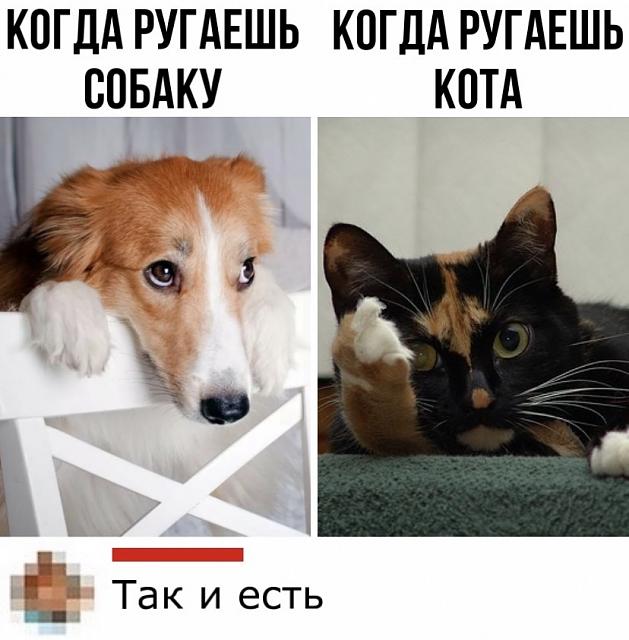 Нажмите на изображение для увеличения
Название: gqbouBgim0s.jpg
Просмотров: 18
Размер:	32.3 Кб
ID:	20187