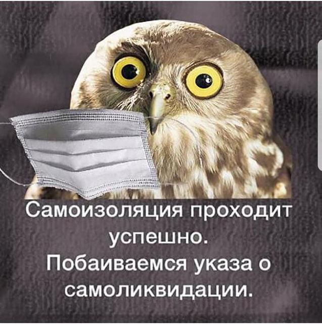 Нажмите на изображение для увеличения
Название: 16_01_38_hgxjOB12YE_800.jpg
Просмотров: 28
Размер:	41.9 Кб
ID:	20372