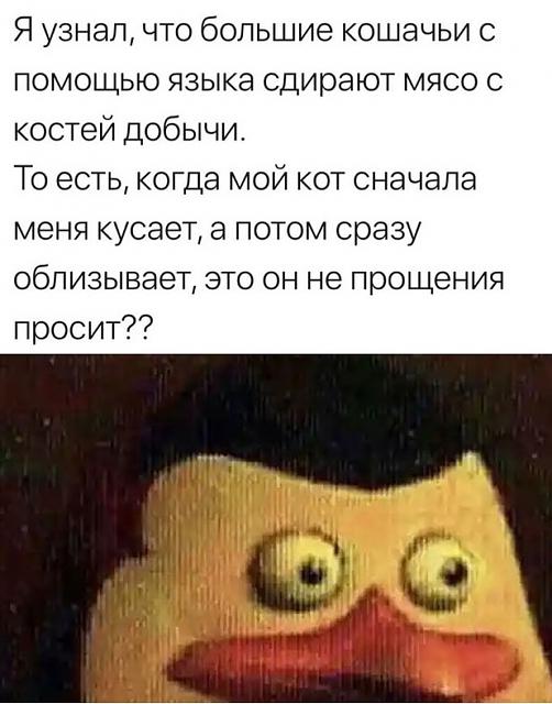 Нажмите на изображение для увеличения
Название: jc-liXRVpok.jpg
Просмотров: 47
Размер:	29.0 Кб
ID:	20390