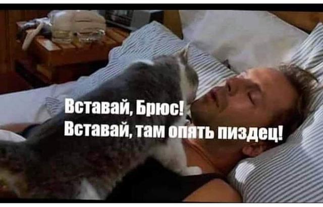 Нажмите на изображение для увеличения
Название: LwI2CSKppeA.jpg
Просмотров: 17
Размер:	34.0 Кб
ID:	20425