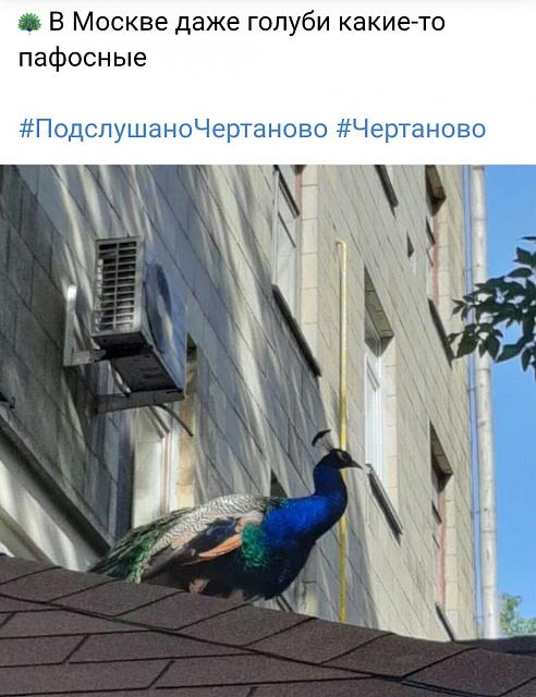 Нажмите на изображение для увеличения
Название: IMG_20200725_204420_801.jpg
Просмотров: 188
Размер:	29.8 Кб
ID:	20646