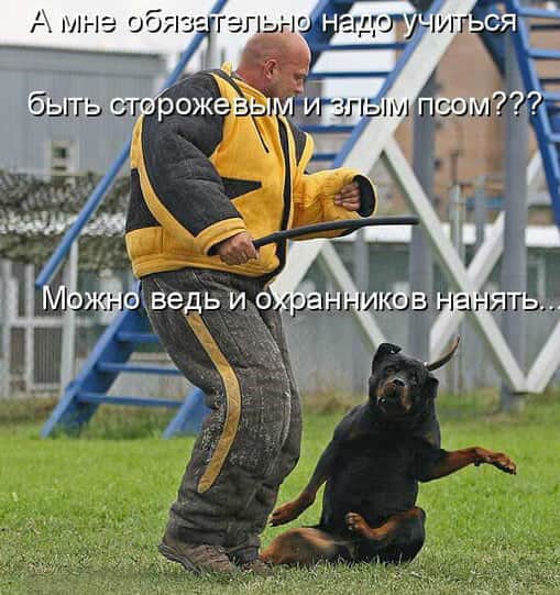 Нажмите на изображение для увеличения
Название: IMG-20200726-WA0001.jpg
Просмотров: 174
Размер:	44.9 Кб
ID:	20647