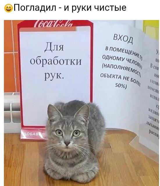 Нажмите на изображение для увеличения
Название: IMG_20200927_111603.jpg
Просмотров: 369
Размер:	27.3 Кб
ID:	20734