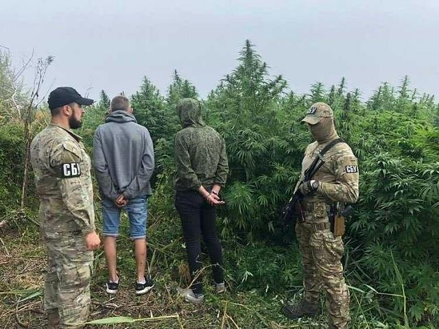 Нажмите на изображение для увеличения
Название: photo_2020-10-15_22-40-30.jpg
Просмотров: 137
Размер:	51.3 Кб
ID:	20755