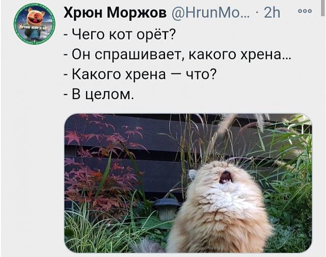 Нажмите на изображение для увеличения
Название: IMG_20210117_132958.jpg
Просмотров: 66
Размер:	43.7 Кб
ID:	20835