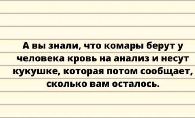 Название: 1633758746661.jpg
Просмотров: 126

Размер: 29.6 Кб