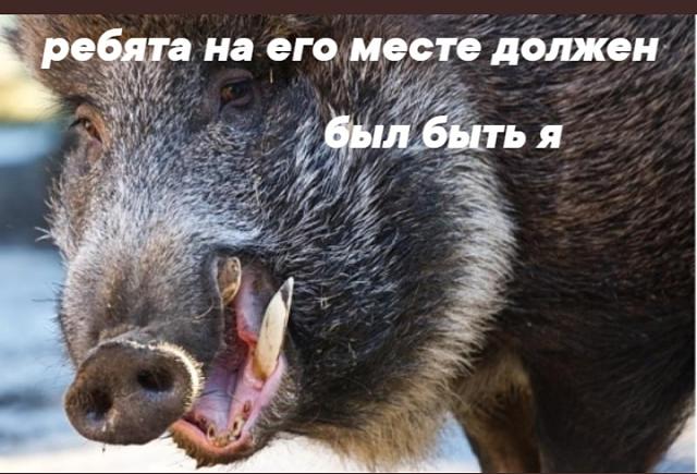 Нажмите на изображение для увеличения
Название: Screenshot_2021-11-19-10-05-40-47.jpg
Просмотров: 33
Размер:	48.4 Кб
ID:	21061