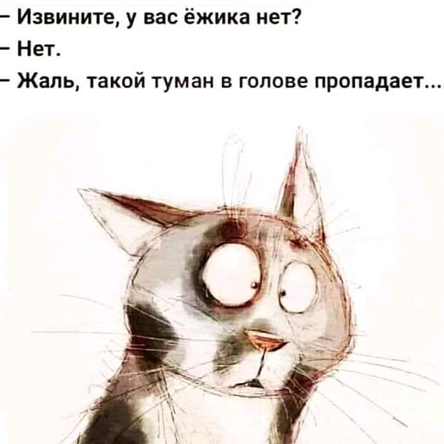 Нажмите на изображение для увеличения
Название: 1644656324711.jpg
Просмотров: 634
Размер:	24.1 Кб
ID:	21152