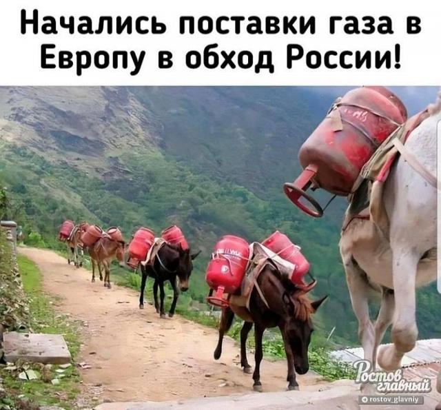 Нажмите на изображение для увеличения
Название: 50d02b6d-61ba-4c8d-bf53-ea9947f6ebdd.jpg
Просмотров: 22
Размер:	44.3 Кб
ID:	21262