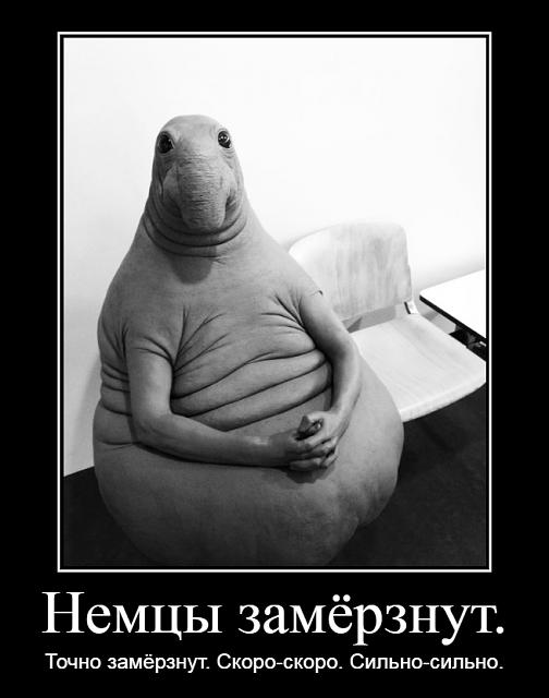 Нажмите на изображение для увеличения
Название: dem_62c847d080cdd.jpg
Просмотров: 253
Размер:	20.2 Кб
ID:	21517