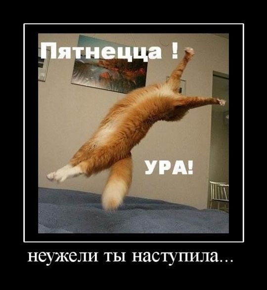 Нажмите на изображение для увеличения
Название: 4a3bc0cc9ed54.jpg
Просмотров: 84
Размер:	24.5 Кб
ID:	2213