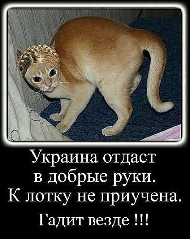 Название: юля.jpg
Просмотров: 343

Размер: 42.0 Кб