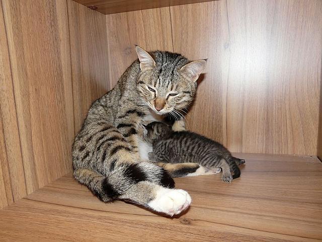 Нажмите на изображение для увеличения
Название: P1240982.jpg
Просмотров: 123
Размер:	49.1 Кб
ID:	3666