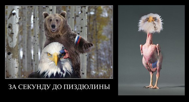 Название: 4yboVb3JgqA.jpg
Просмотров: 176

Размер: 38.7 Кб