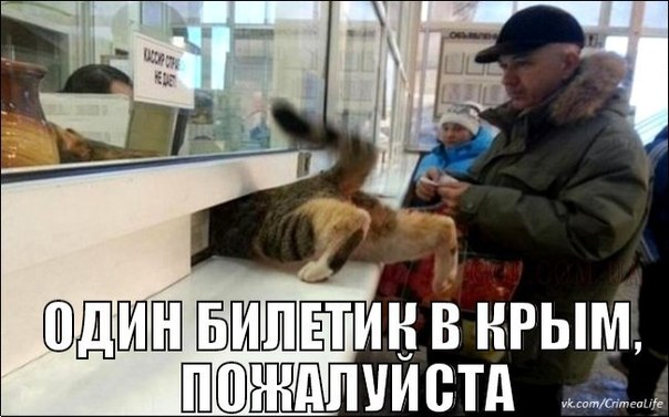 Нажмите на изображение для увеличения
Название: фото (кот лезет за билетом в Крым).jpg
Просмотров: 428
Размер:	38.9 Кб
ID:	3824