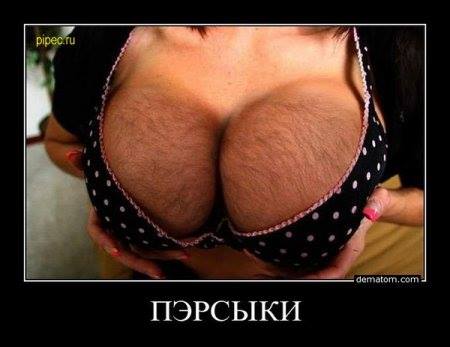 Название: 10322704_701973259862171_6712878157470779731_n.jpg
Просмотров: 229

Размер: 20.7 Кб
