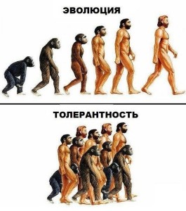 Название: эволюция -толеранстность.jpg
Просмотров: 198

Размер: 24.3 Кб