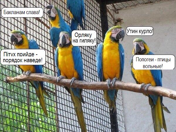 Нажмите на изображение для увеличения
Название: popogei.jpg
Просмотров: 65
Размер:	51.4 Кб
ID:	4228