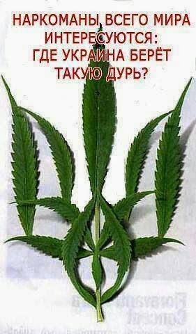 Название: дурь.jpg
Просмотров: 433

Размер: 31.8 Кб