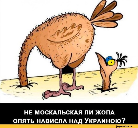 Нажмите на изображение для увеличения
Название: я-ватник-разное-Украина-1309659.jpg
Просмотров: 38
Размер:	37.9 Кб
ID:	4577