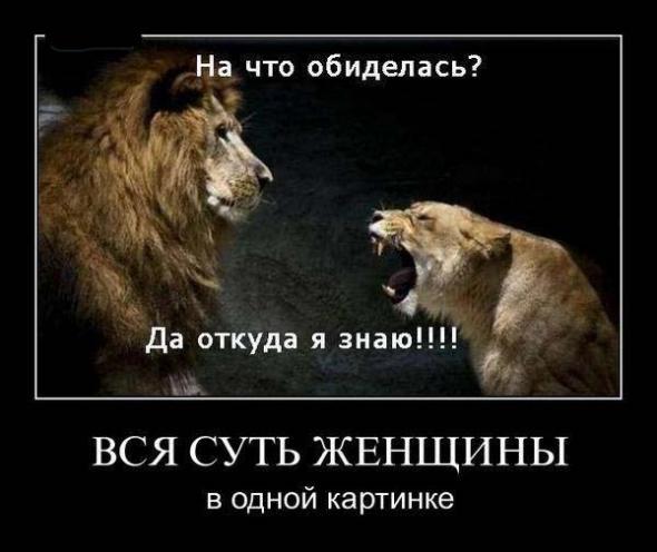 Нажмите на изображение для увеличения
Название: 26ffa7af2407d399da0accb93b6_prev.jpg
Просмотров: 68
Размер:	32.0 Кб
ID:	4655