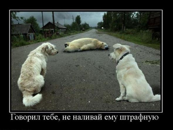 Название: 051c235a581644f984fc01efa0f_prev.jpg
Просмотров: 153

Размер: 37.6 Кб