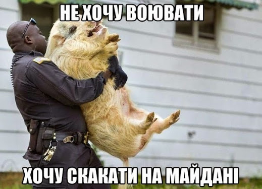 Нажмите на изображение для увеличения
Название: скакаит.jpg
Просмотров: 45
Размер:	31.0 Кб
ID:	4759