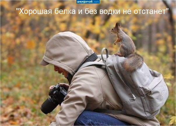 Нажмите на изображение для увеличения
Название: 0930_30.jpg
Просмотров: 44
Размер:	38.8 Кб
ID:	5019