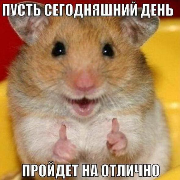 Нажмите на изображение для увеличения
Название: 066a6040c2c2b9f2c3b70c05ed7_prev.jpg
Просмотров: 50
Размер:	32.9 Кб
ID:	5115