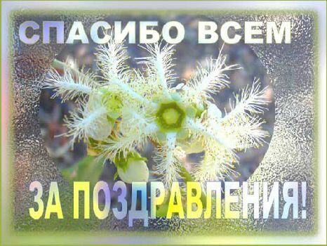 Название: 15203015.jpg
Просмотров: 105

Размер: 47.4 Кб