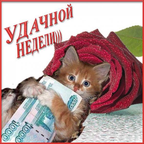 Нажмите на изображение для увеличения
Название: 13430a01f1d64b87bb429cd2e0a_prev.jpg
Просмотров: 50
Размер:	42.1 Кб
ID:	5839