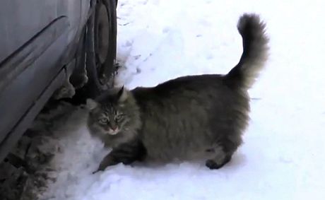Название: 5673614.jpg
Просмотров: 152

Размер: 17.7 Кб
